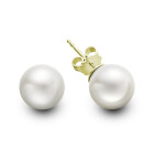Contemporary 18ct Pearl Earrings
