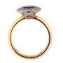 JR34 a Garnet nand Diamond Ring