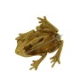 MS2481 Gold Frog Brooch (2)
