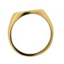 MS3421 9ct gold Signet ring